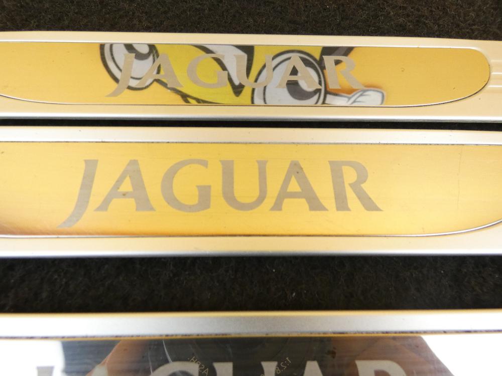 Einstiegsleiste 1r83-13244 chrom jaguar ccx Bild