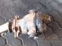 Differential - 1428169f77 bild1