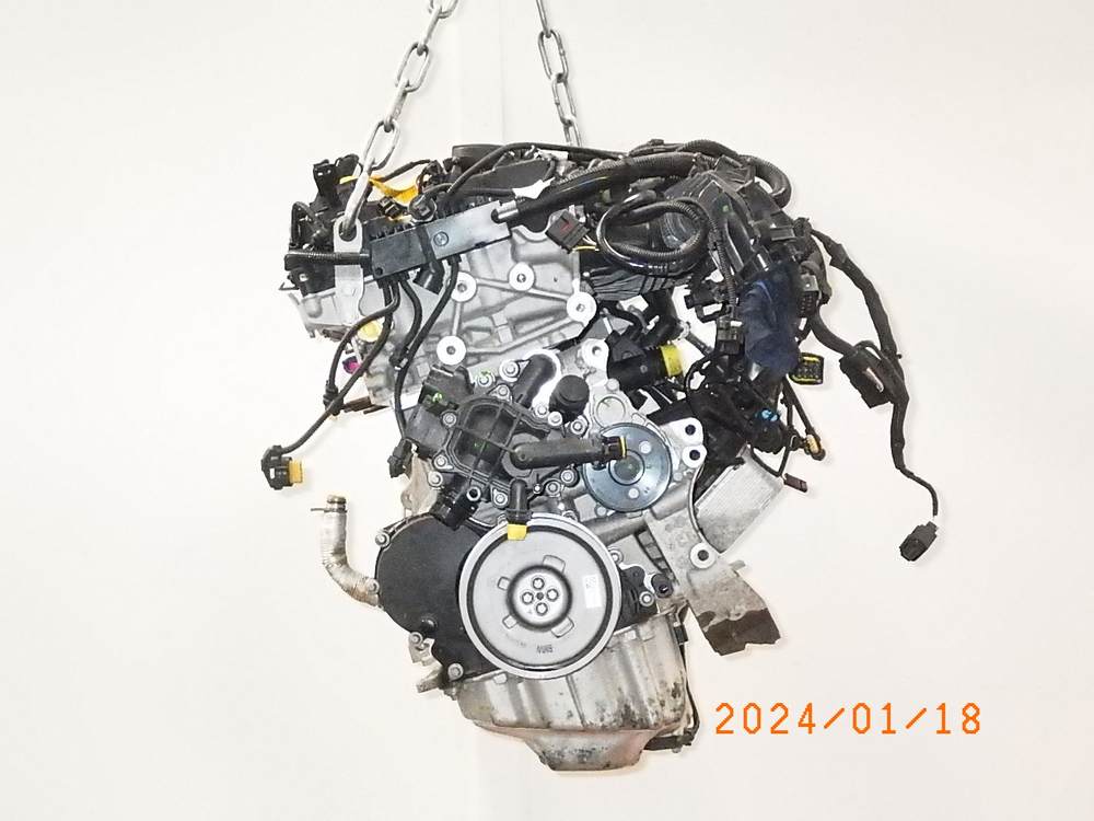 5341100 motor ohne anbauteile (benzin) Bild
