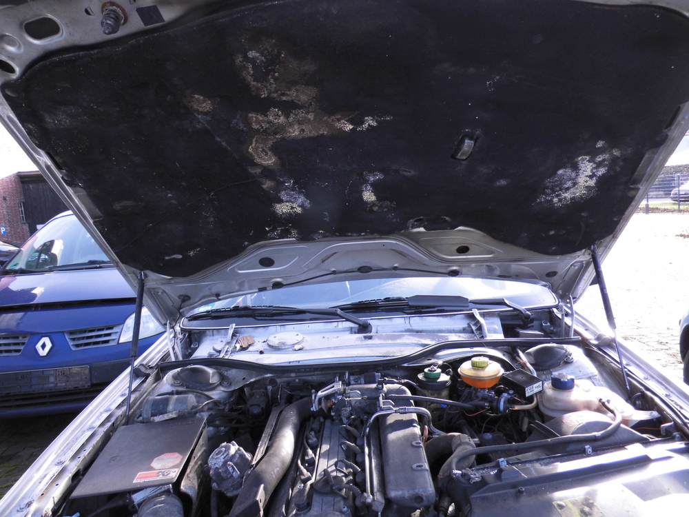 audi 200 lim. avant  bild1